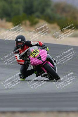 media/Jan-14-2023-SoCal Trackdays (Sat) [[497694156f]]/Turn 10 (1050am)/